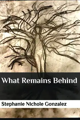 What Remains Behind poster
