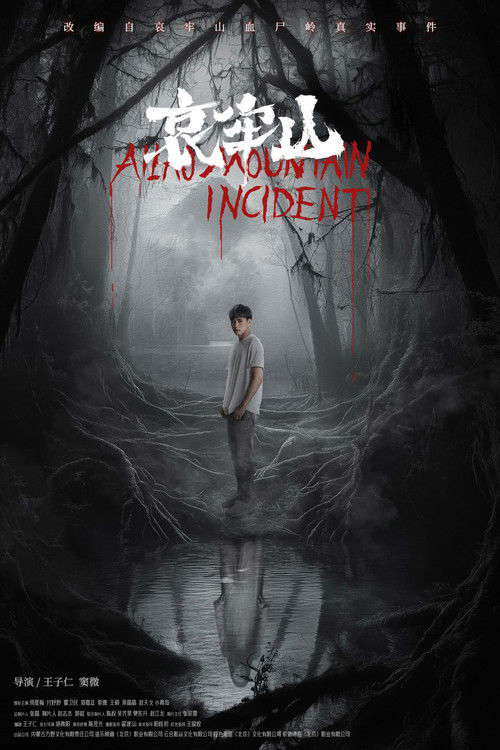 哀牢山 poster