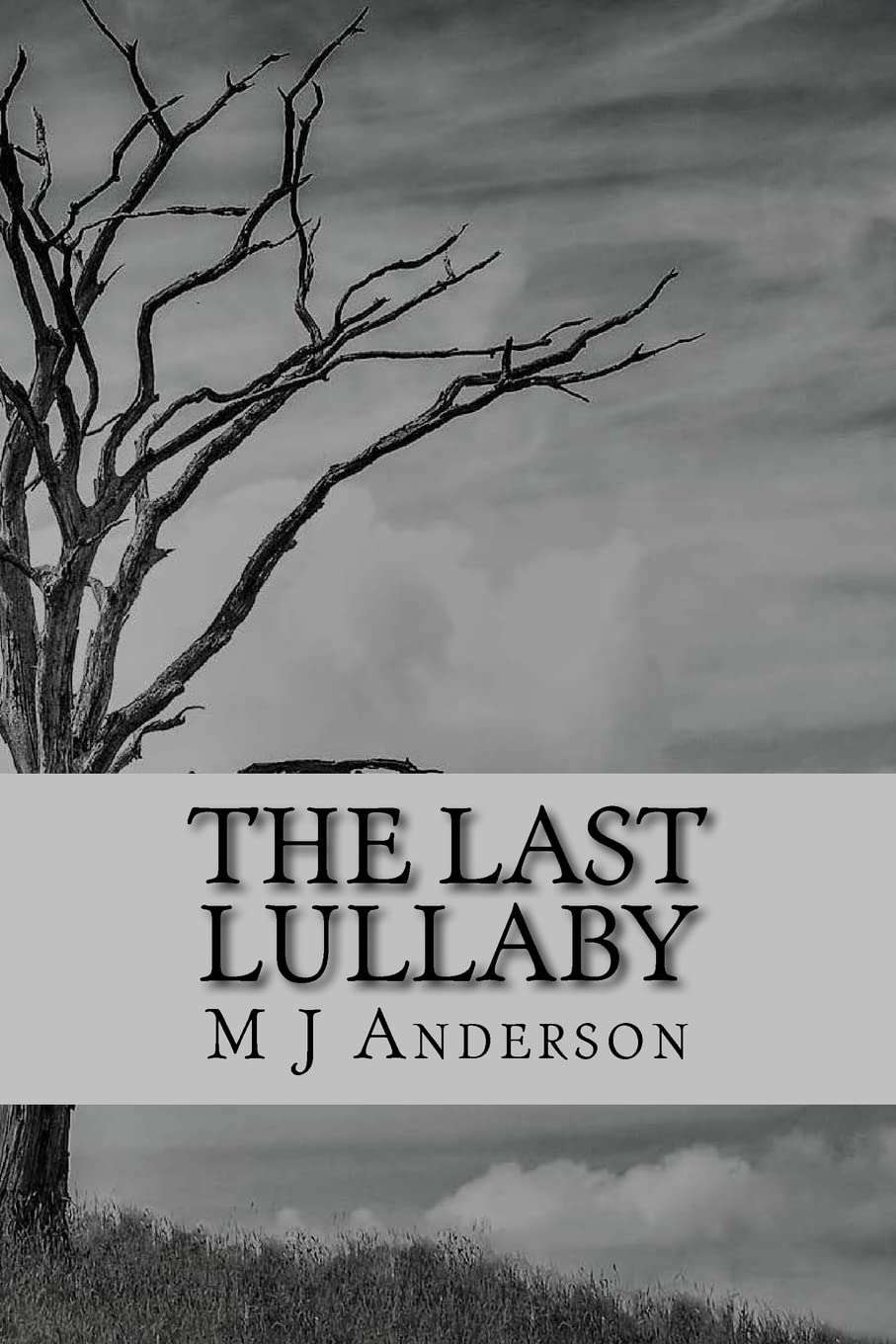 The Last Lullaby: Chilling Stories for Winter Nights poster