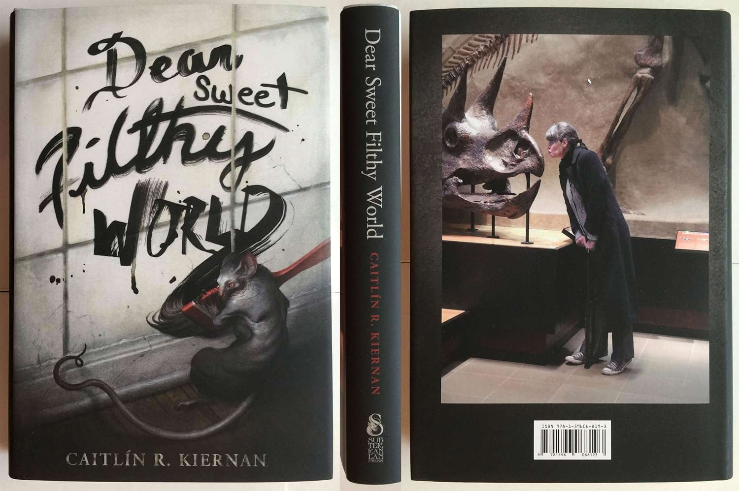 Dear Sweet Filthy World poster