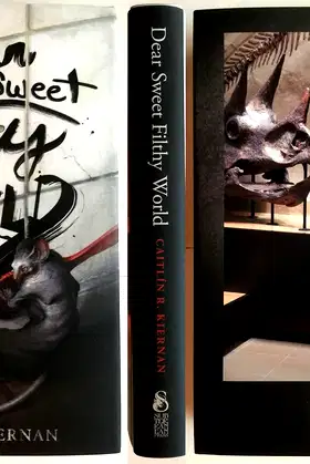Dear Sweet Filthy World poster