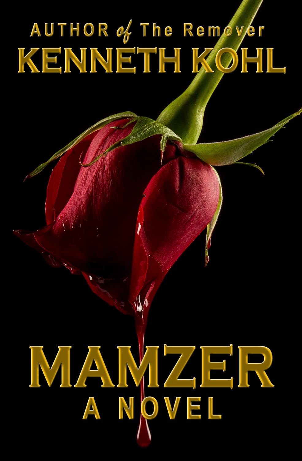 Mamzer (The Remover Book 2) poster