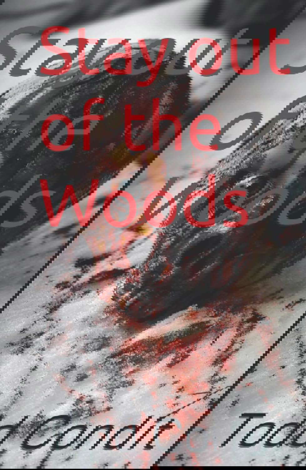 Stay out of the Woods poster