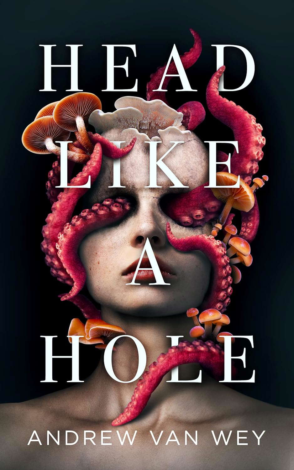 Head Like a Hole: A Novel of Horror poster