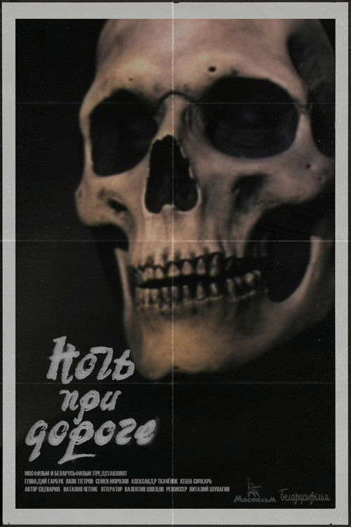 Night on the Road poster