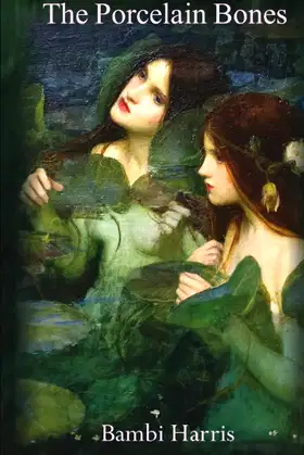 The Porcelain Bones poster