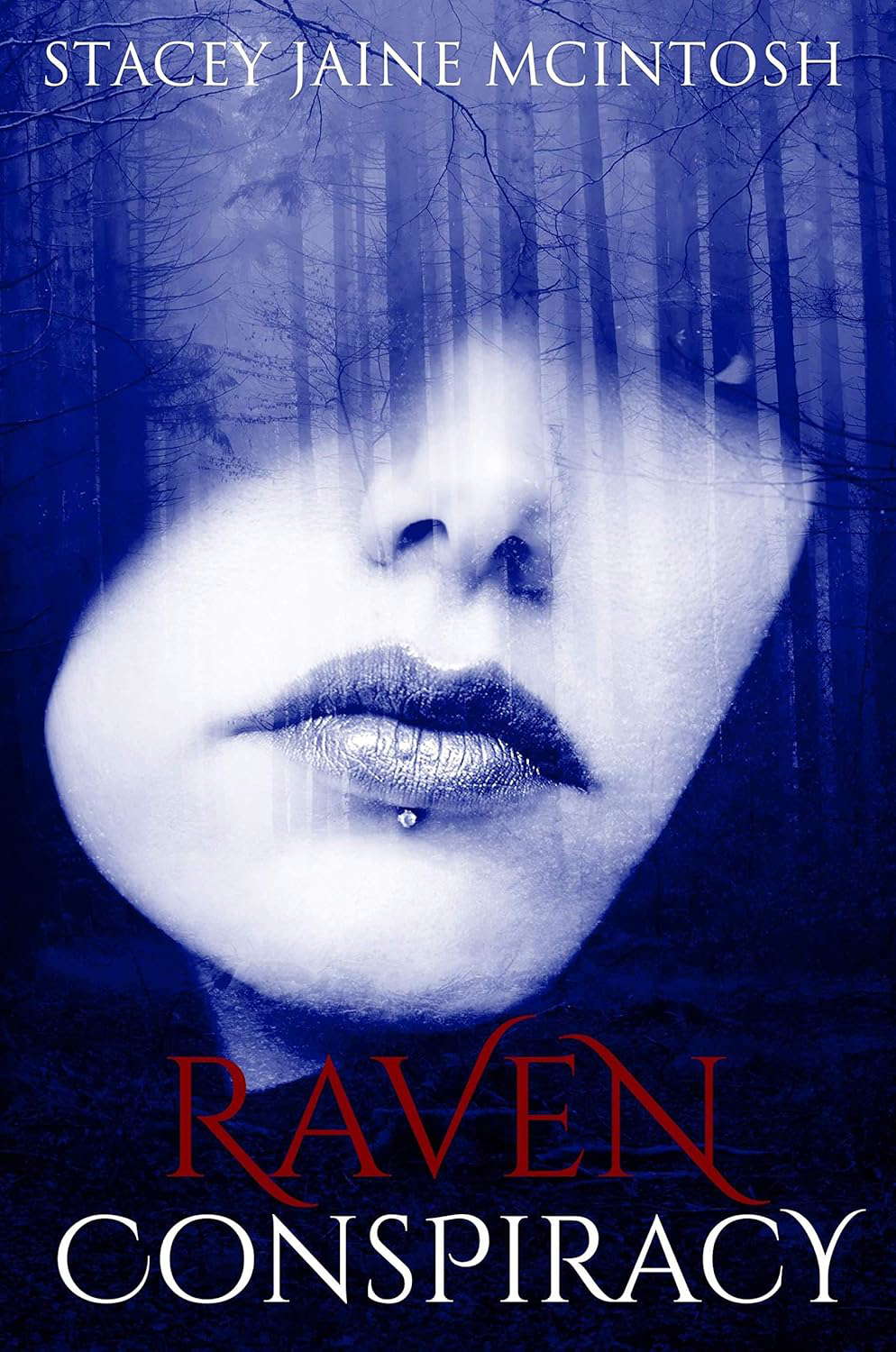 Raven Conspiracy (The Camelot Series) poster