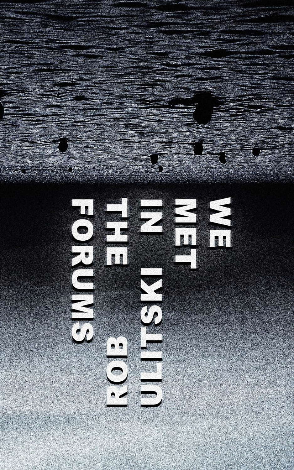 We Met In The Forums poster