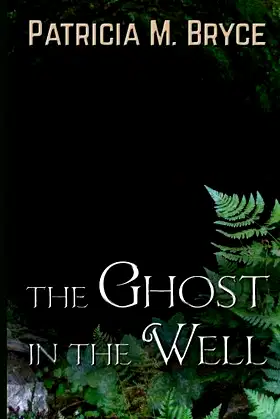 The Ghost in the Well poster