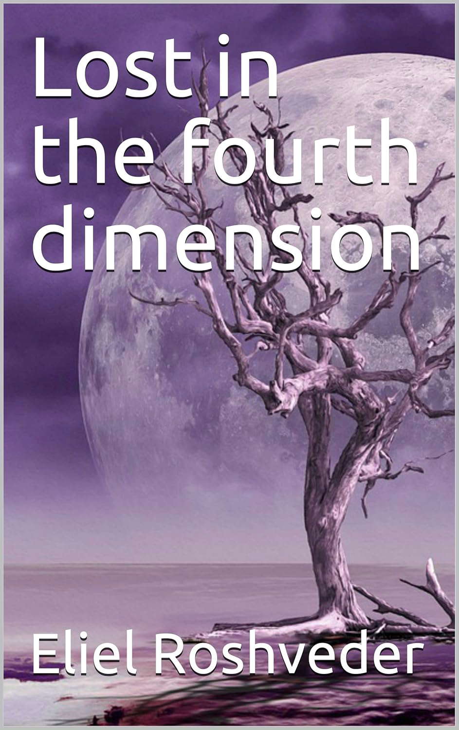 Lost in the fourth dimension (SÉRIE DE SUSPENSE E TERROR Book 13) poster