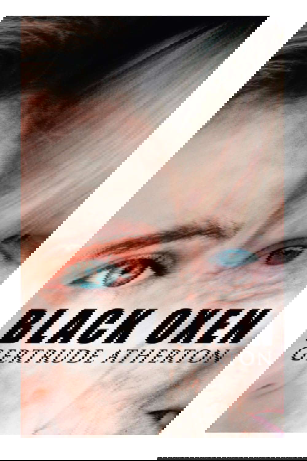 THE Black Oxen poster