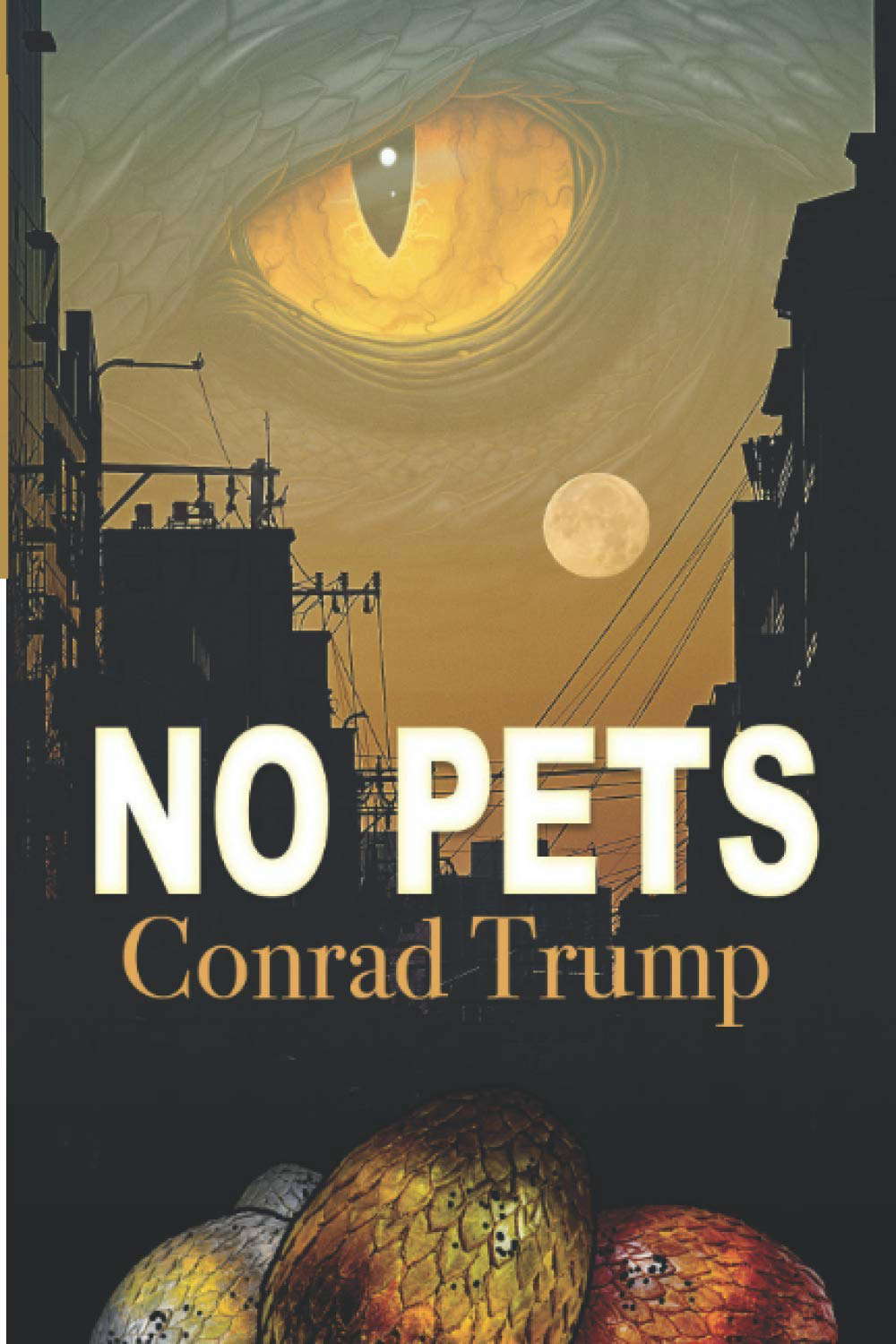 No Pets poster