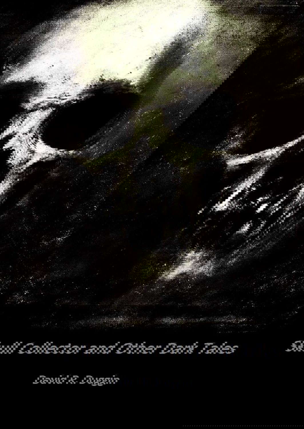 Skull Collector and Other Dark Tales poster