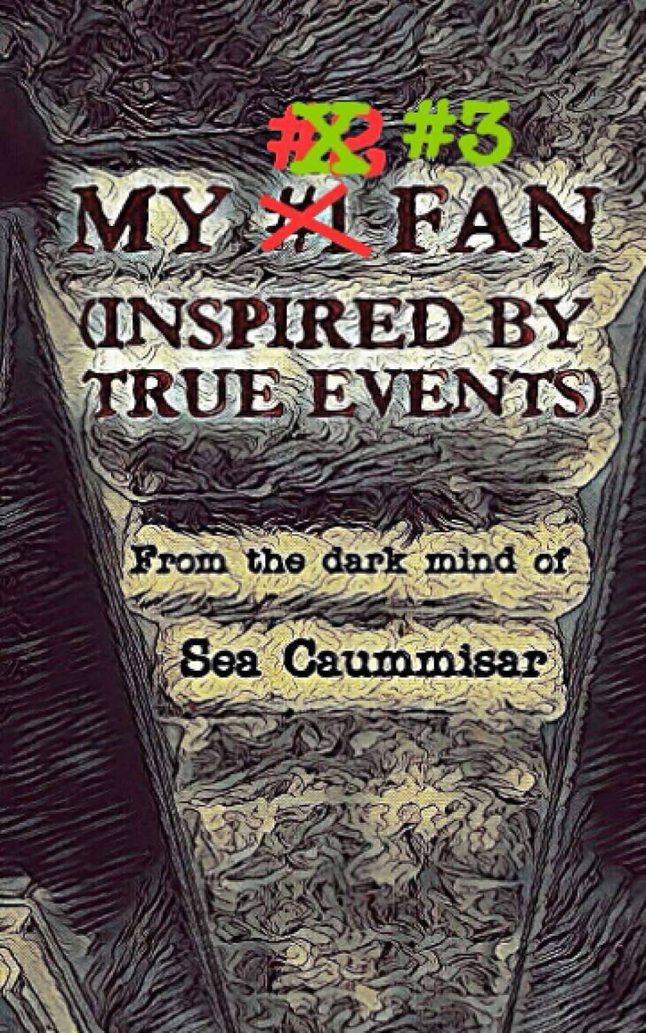 My #3 Fan (Inspired by True Events) (My Fan) poster