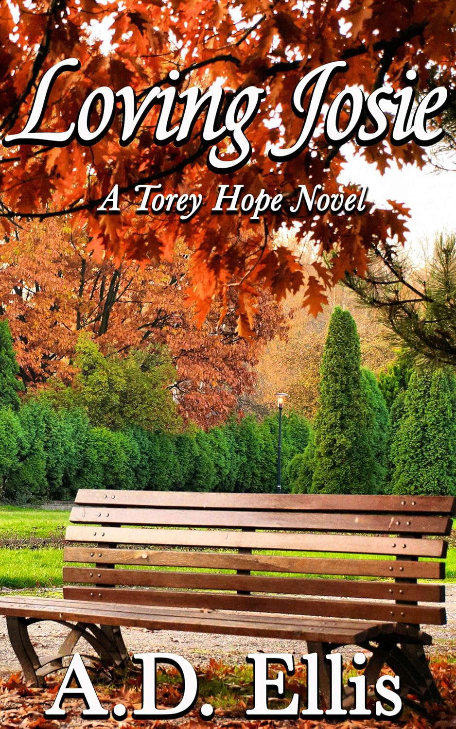 Loving Josie: A Torey Hope Novel poster