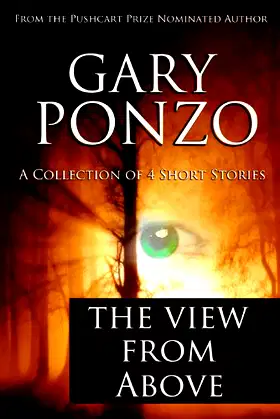 The View from Above poster
