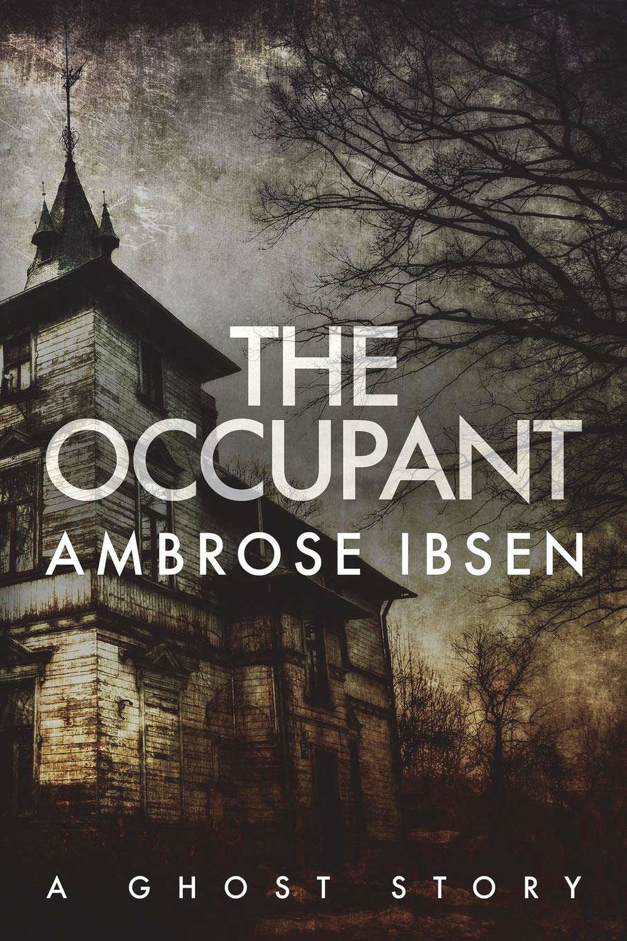 The Occupant (The Afterlife Investigations) poster