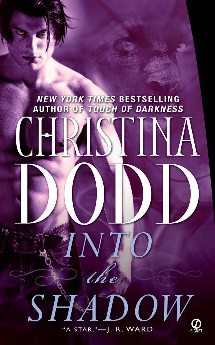 Into the Shadow (Darkness Chosen, Book 3) poster