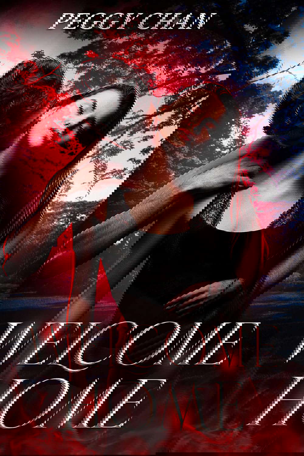Welcome Home poster