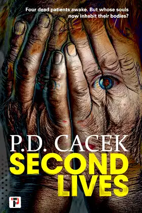 Second Lives poster