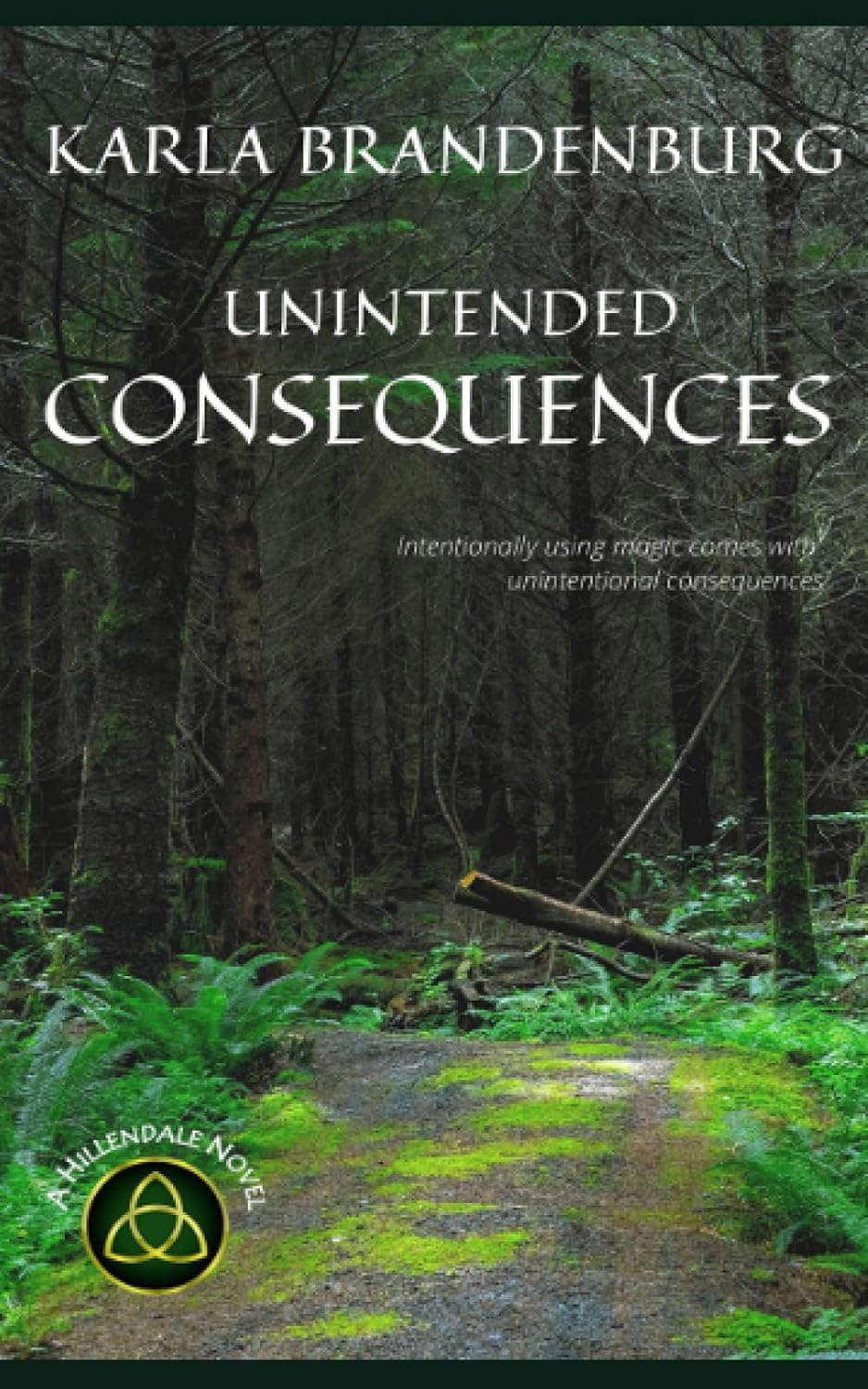 Unintended Consequences (A Hillendale Novel) poster