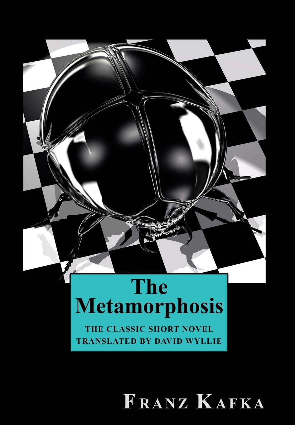 The Metamorphosis poster
