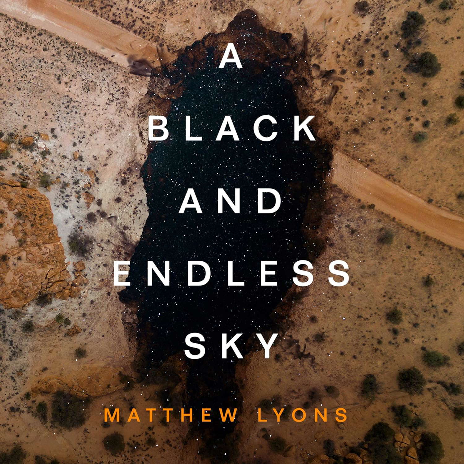 A Black and Endless Sky poster