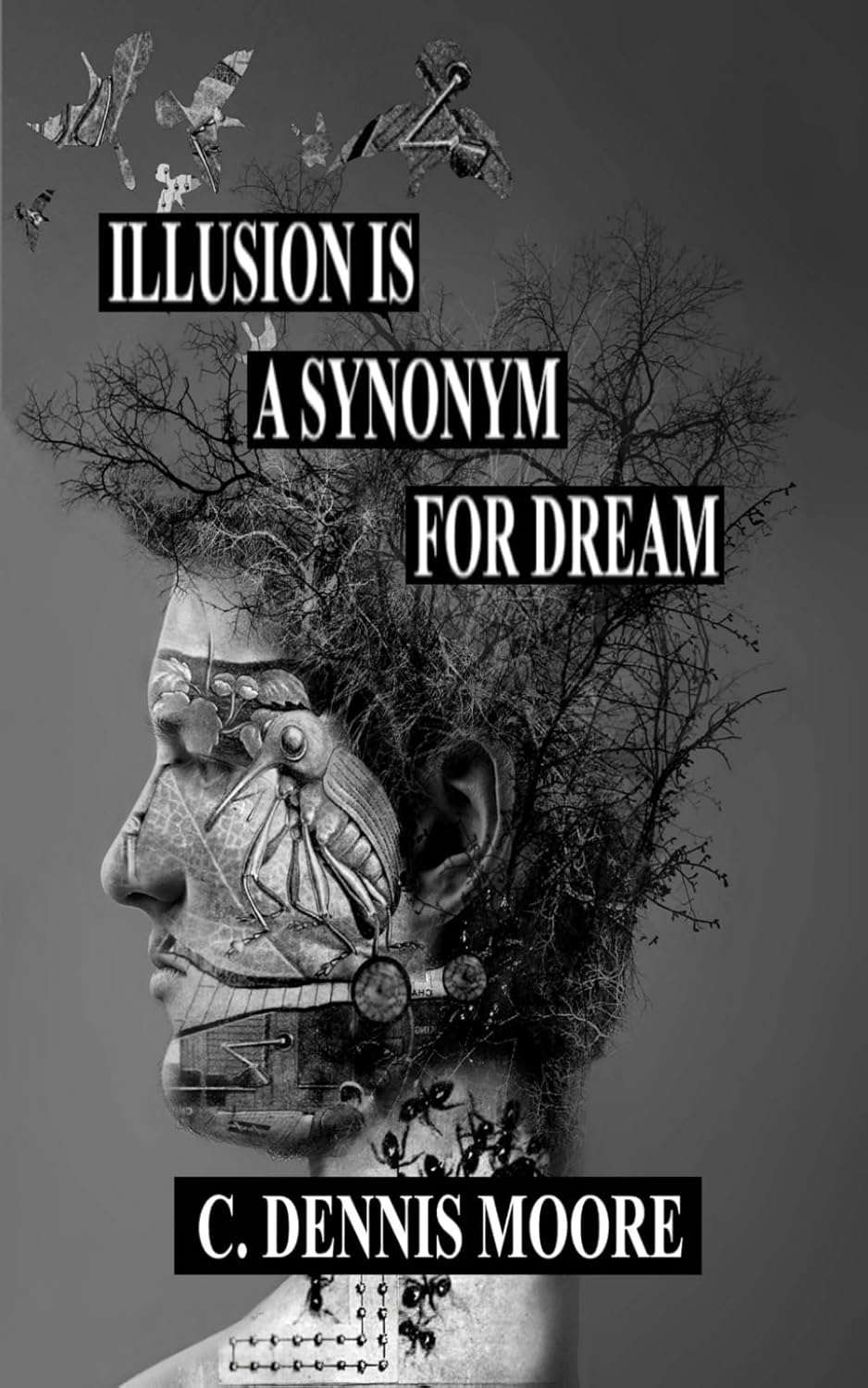 Illusion is a Synonym for Dream (Standalone Shorts) poster