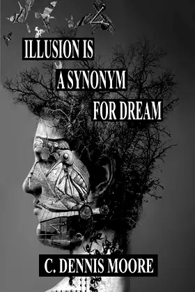 Illusion is a Synonym for Dream (Standalone Shorts) poster