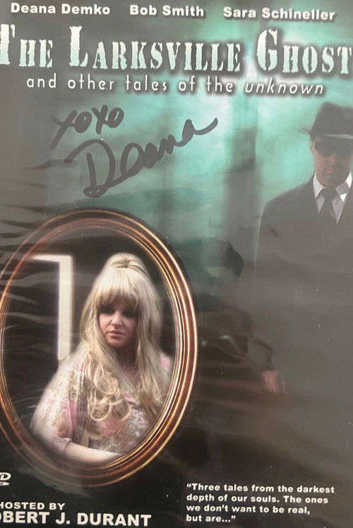 The Larksville Ghost poster