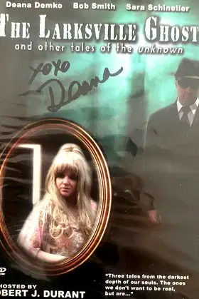 The Larksville Ghost poster