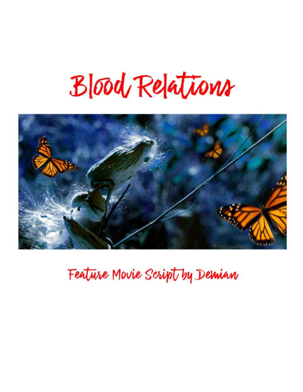 Blood Relations: Feature Movie Script by Demian poster
