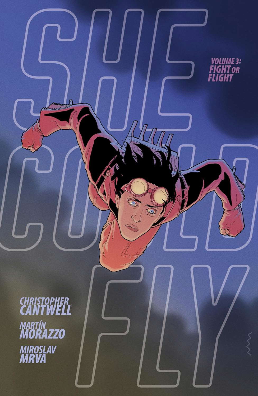 She Could Fly Volume 3: Fight or Flight poster
