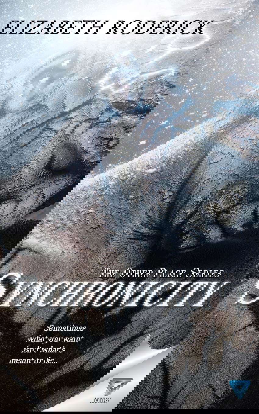 Synchronicity (The Other Place) poster