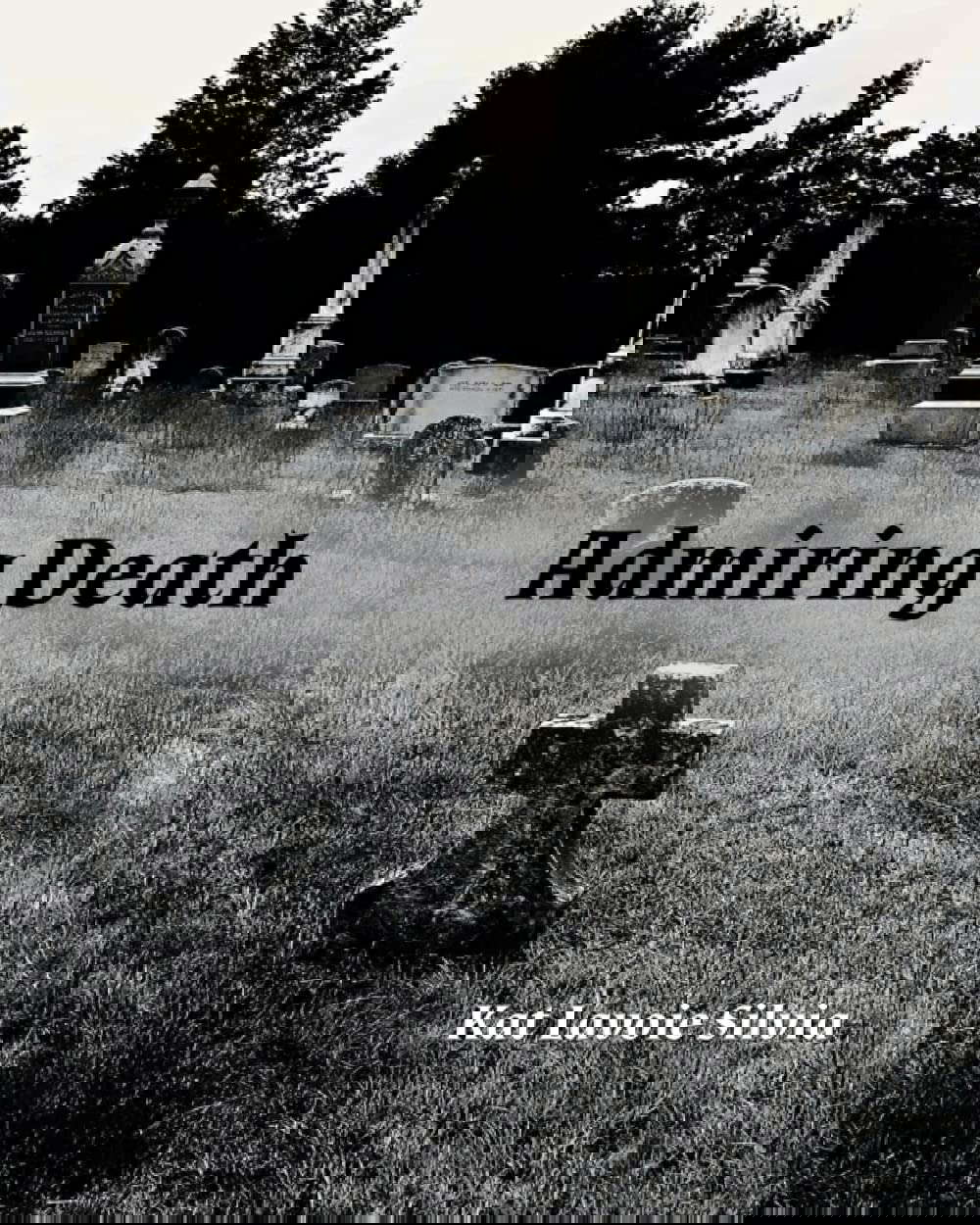 Admiring Death poster