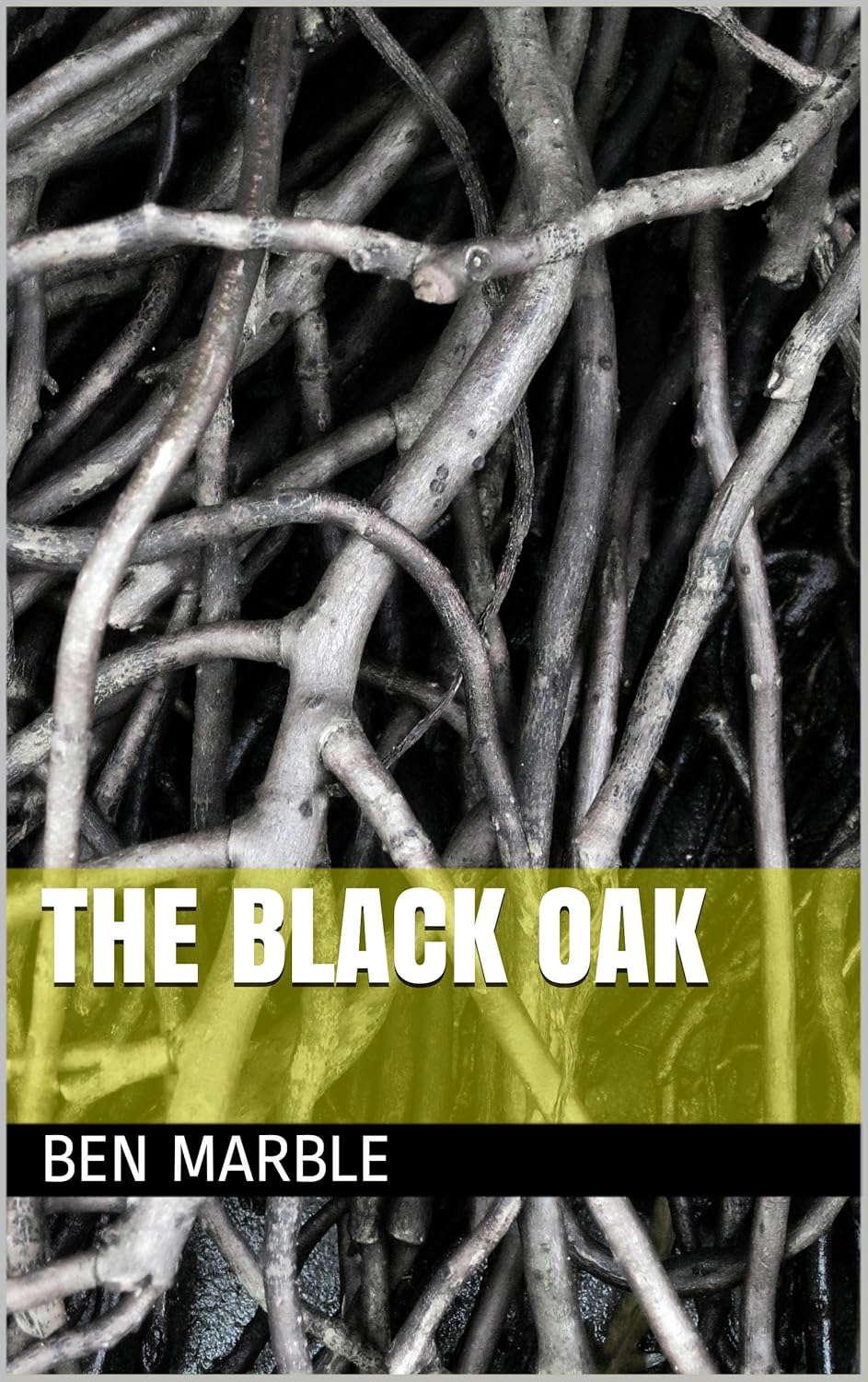 The Black Oak poster