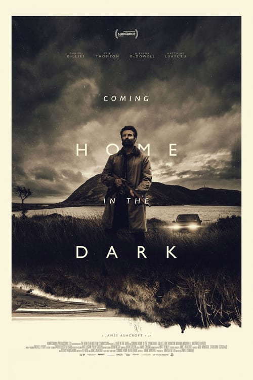 Coming Home in the Dark poster