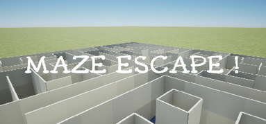 Maze Escape capsule