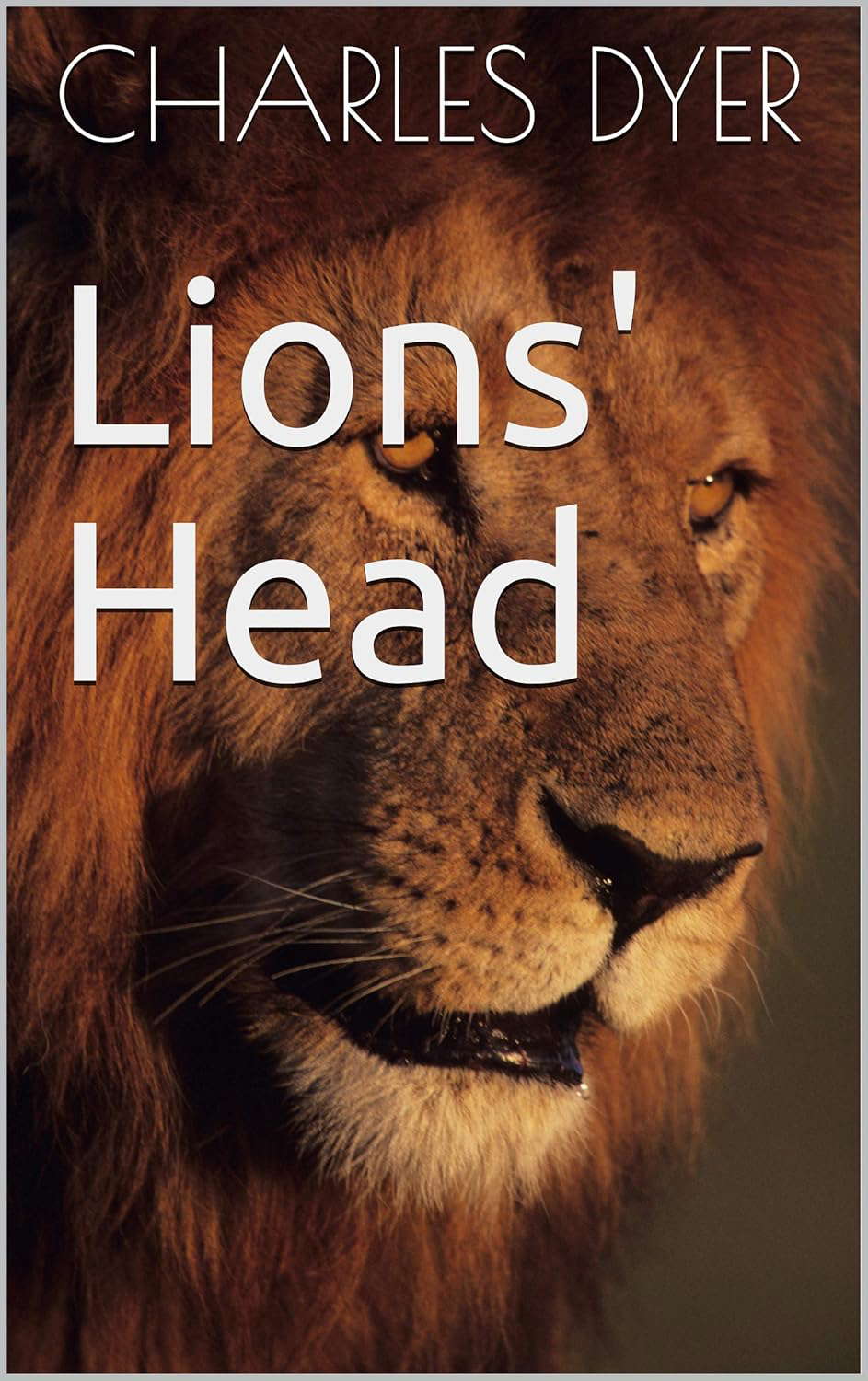 Lions' Head poster