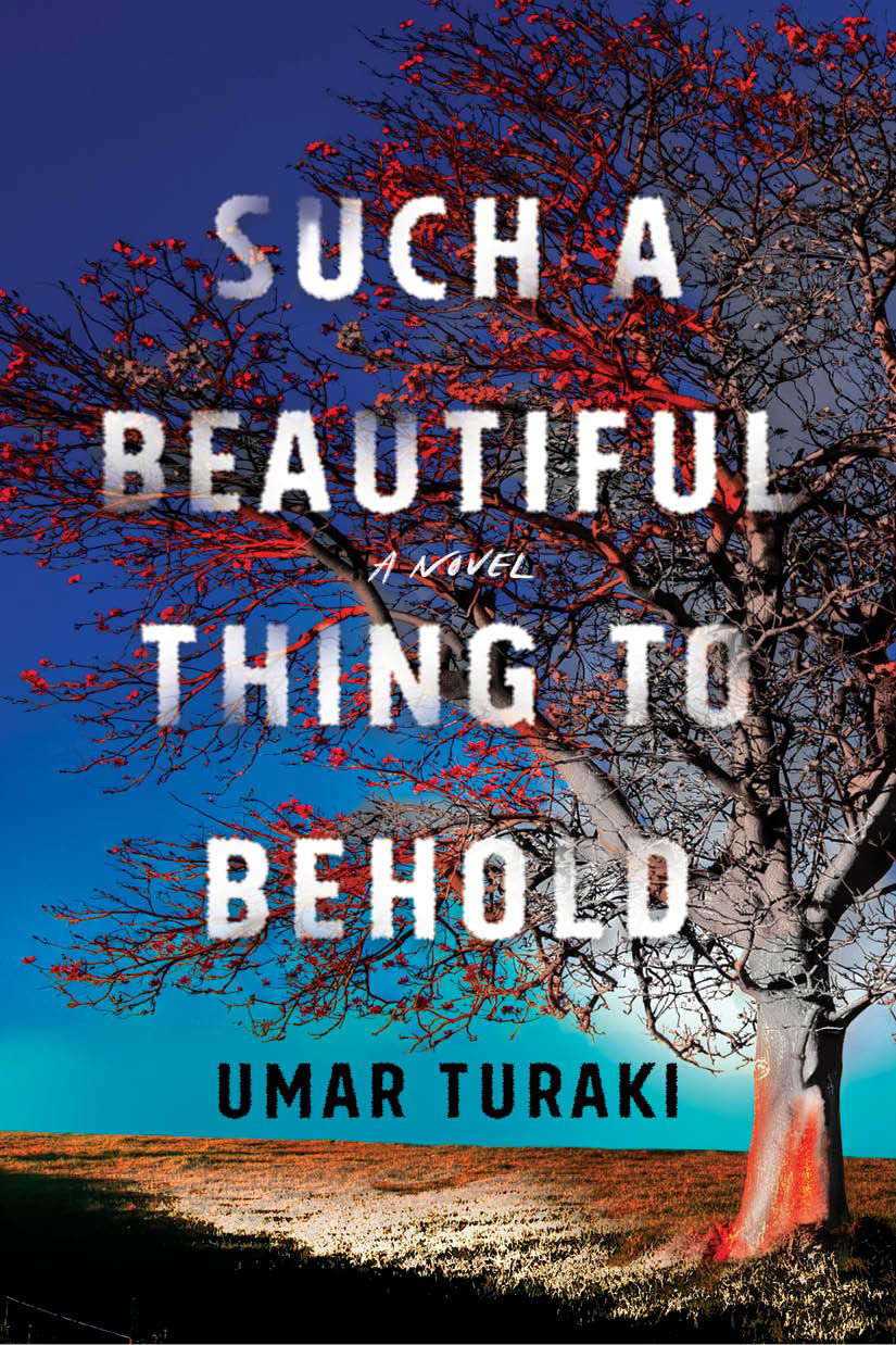 Such a Beautiful Thing to Behold: A Novel poster