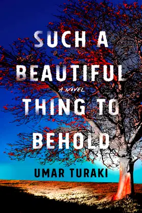 Such a Beautiful Thing to Behold: A Novel poster