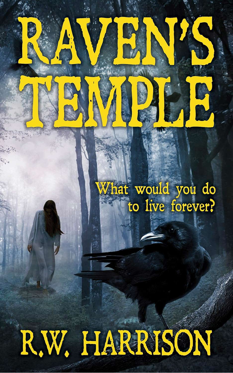 Raven's Temple poster