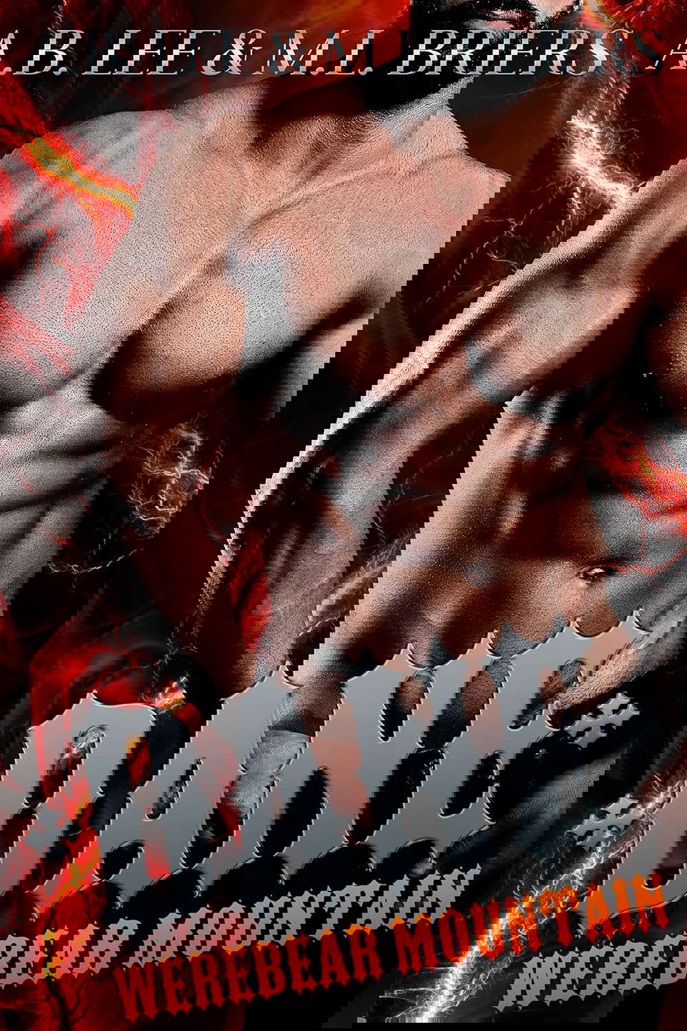 Werebear Mountain - Dane (Book One) poster