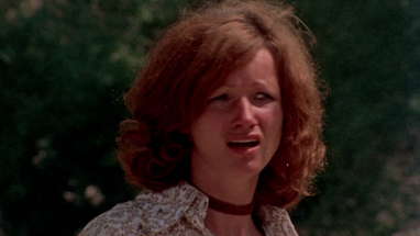 Trip With the Teacher: 1974 Theatrical Trailer (Vinegar Syndrome) poster