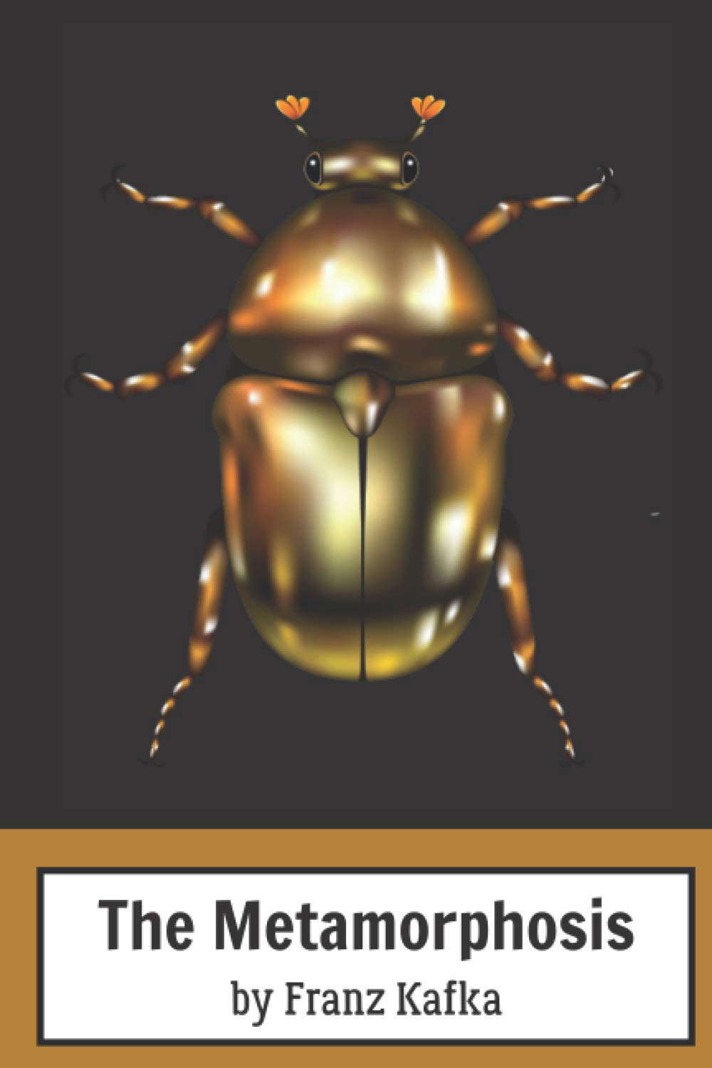 The Metamorphosis: By Franz Kafka poster