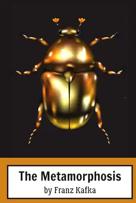 The Metamorphosis: By Franz Kafka poster