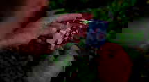 episode poster