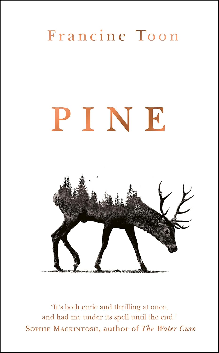 Pine poster