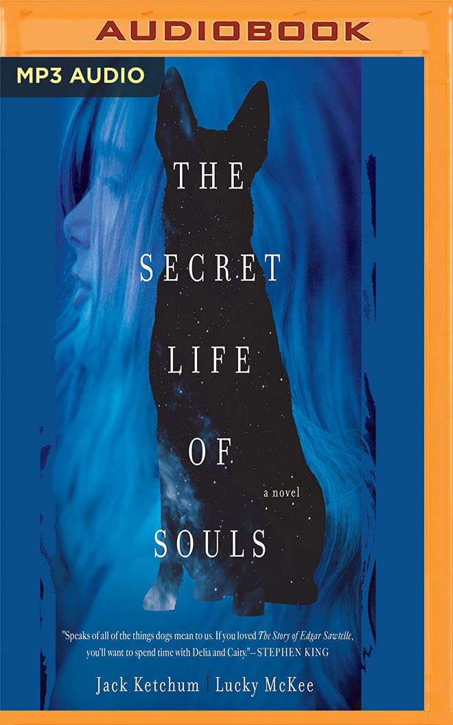 Secret Life of Souls, The poster