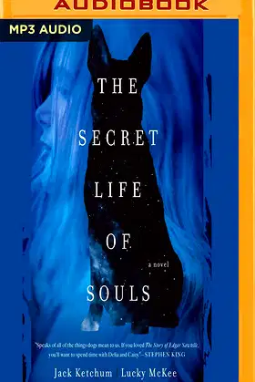 Secret Life of Souls, The poster